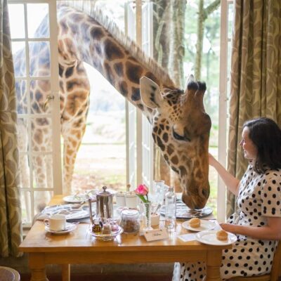 What it’s Actually Like to Stay at Giraffe Manor — Monica Francis _ Travel Blog